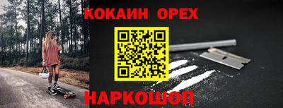 крисы Коммунар